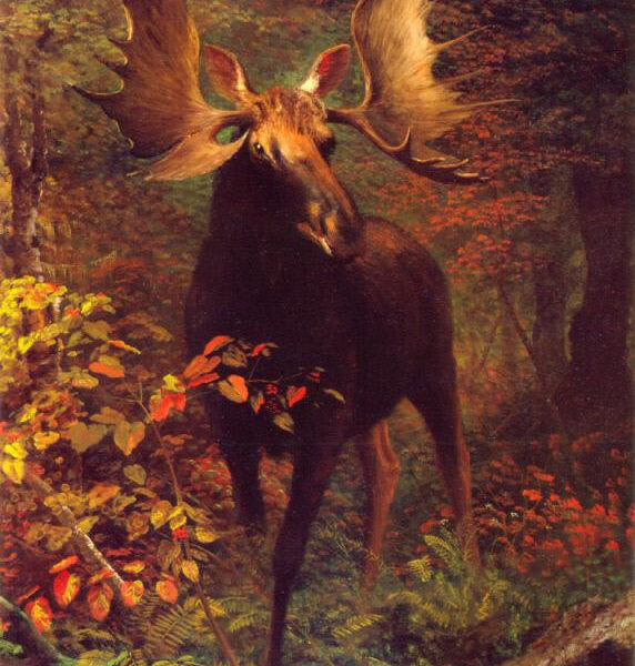 Альберт БИРШТАДТ / «Лось в лесу (Король леса)» / 1880
