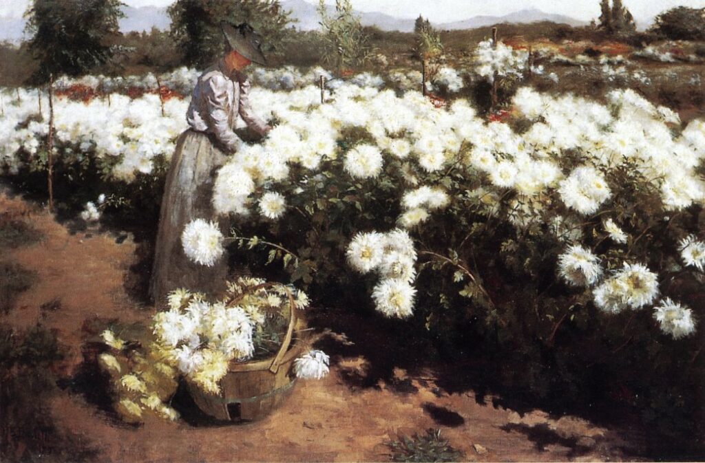 Гейнс Ругер ДОНОХО / «Сад хризантем в Южной Калифорнии» / 1891